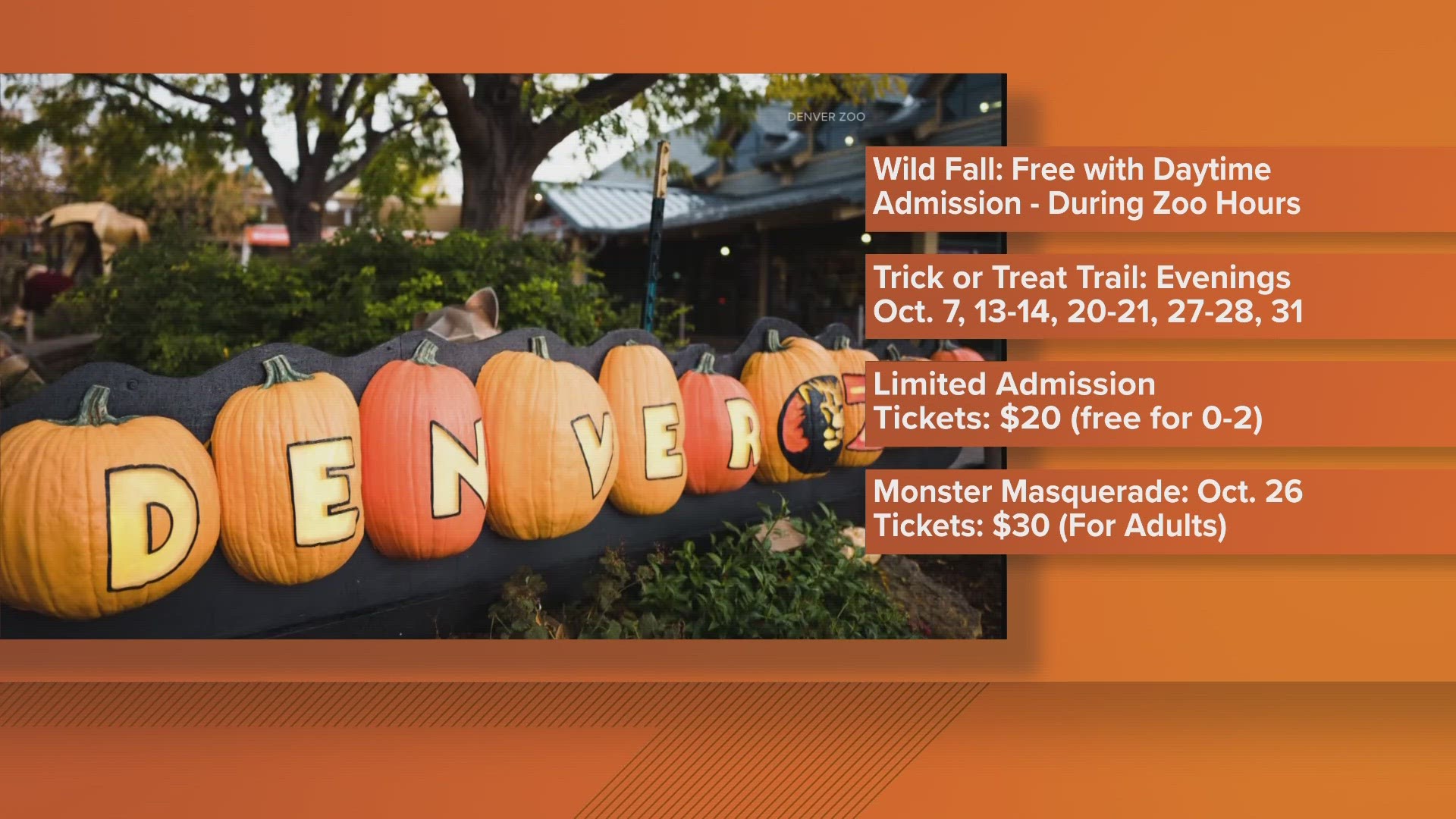 The Denver Zoo has plenty events coming up during the month of October. From trick-or-treating to a monster masquerade, the Denver Zoo will have fall events for all.