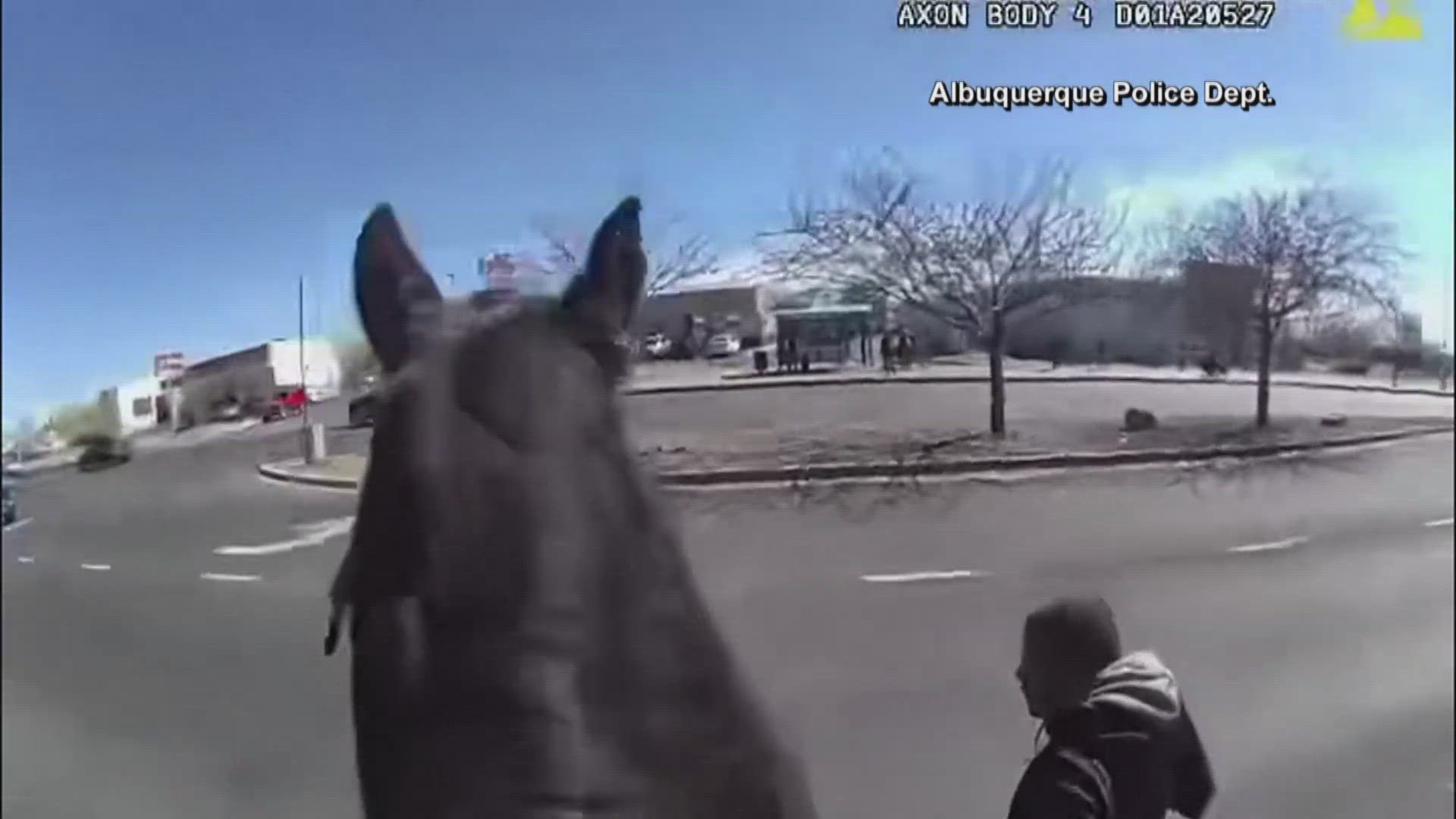 Police in Albuquerque, New Mexico, clearly had all the horsepower in a chase captured on bodycam video.