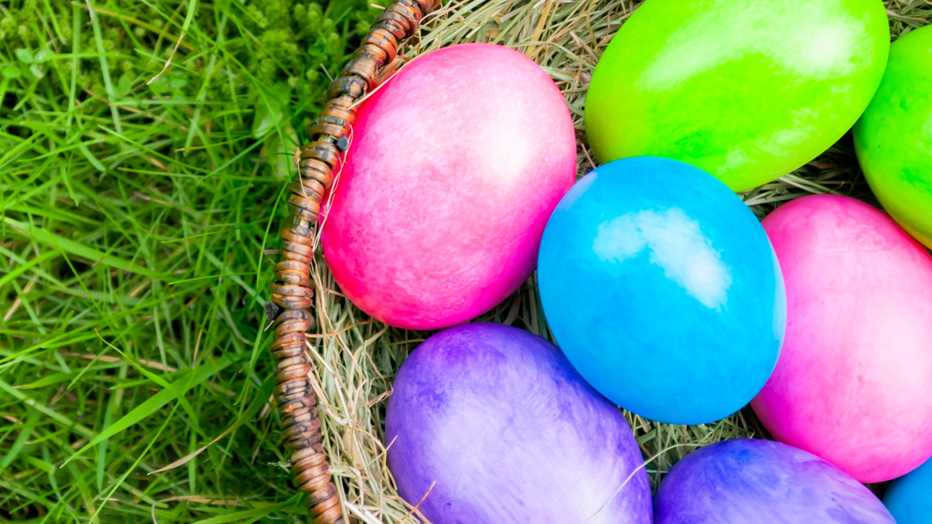 Celebrate Easter and the spring season with food, music, candy and the Easter Bunny at one of these Easter egg hunts across Colorado.