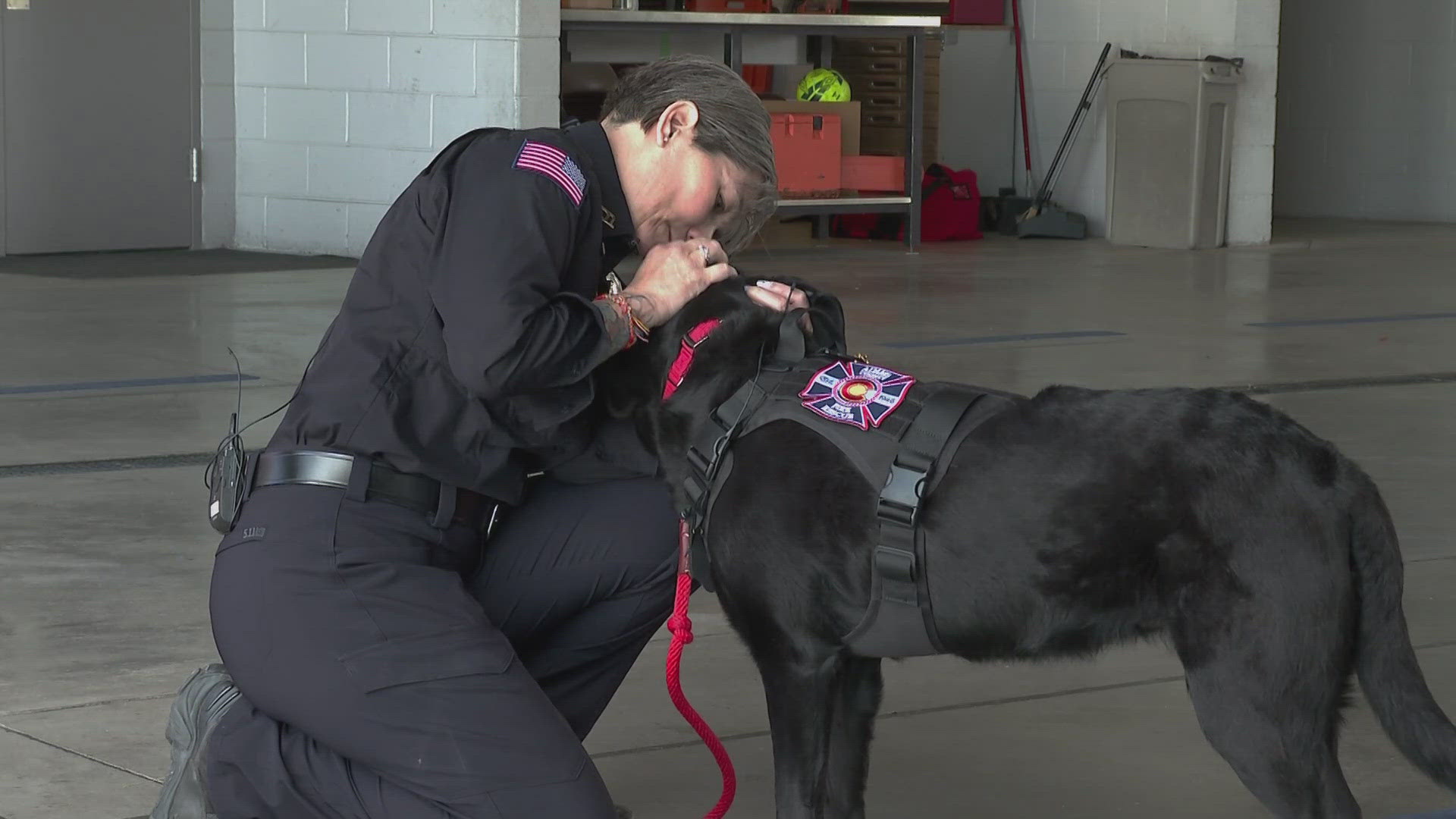 Arson dogs play a key role in helping determine the cause of many fires. Without these dogs, it can take longer to investigate a fire, costing taxpayers more money.