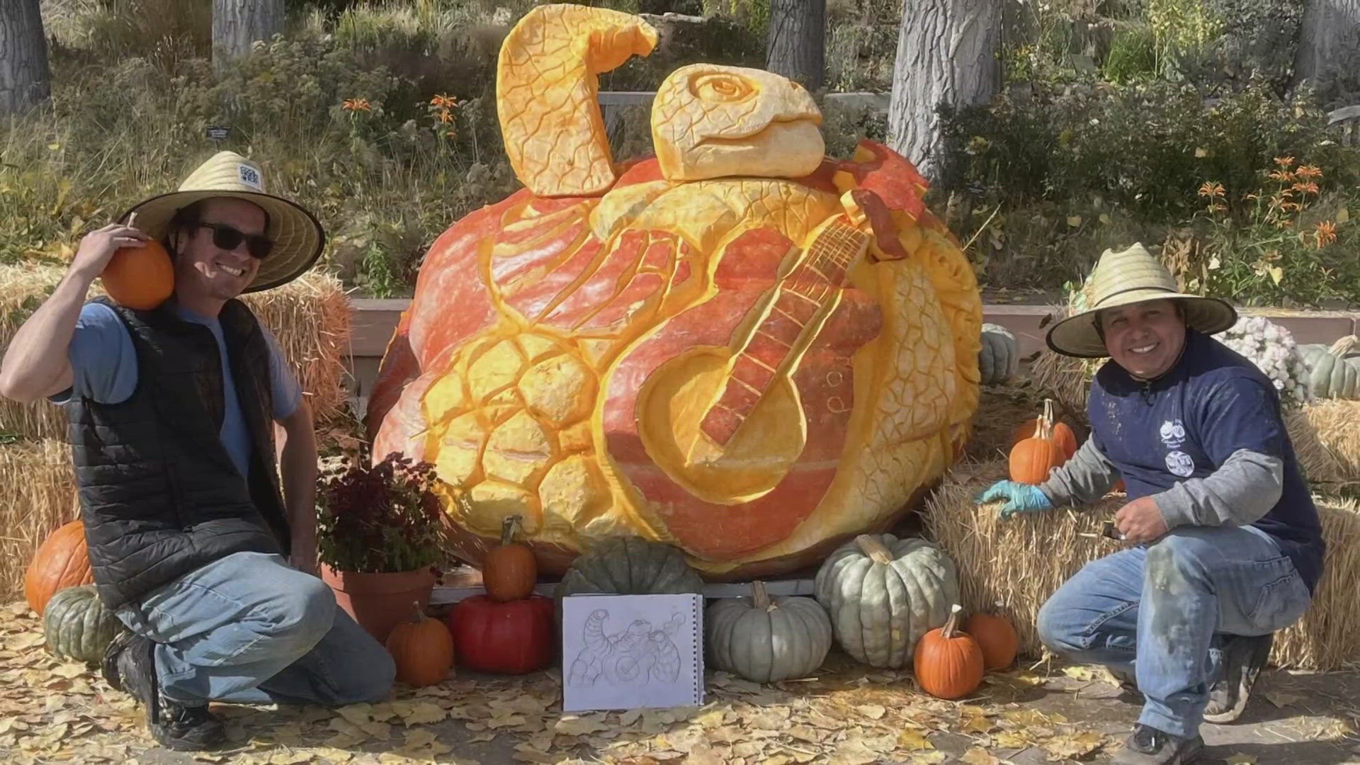 The Botanic Gardens hosted two talented sculptors with the skills to take pumpkin carving to a whole new level. 