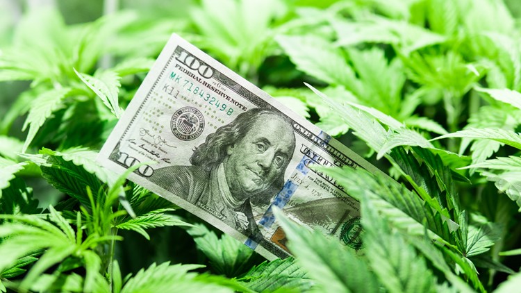 Here's how much marijuana tax money Colorado collected in 2021