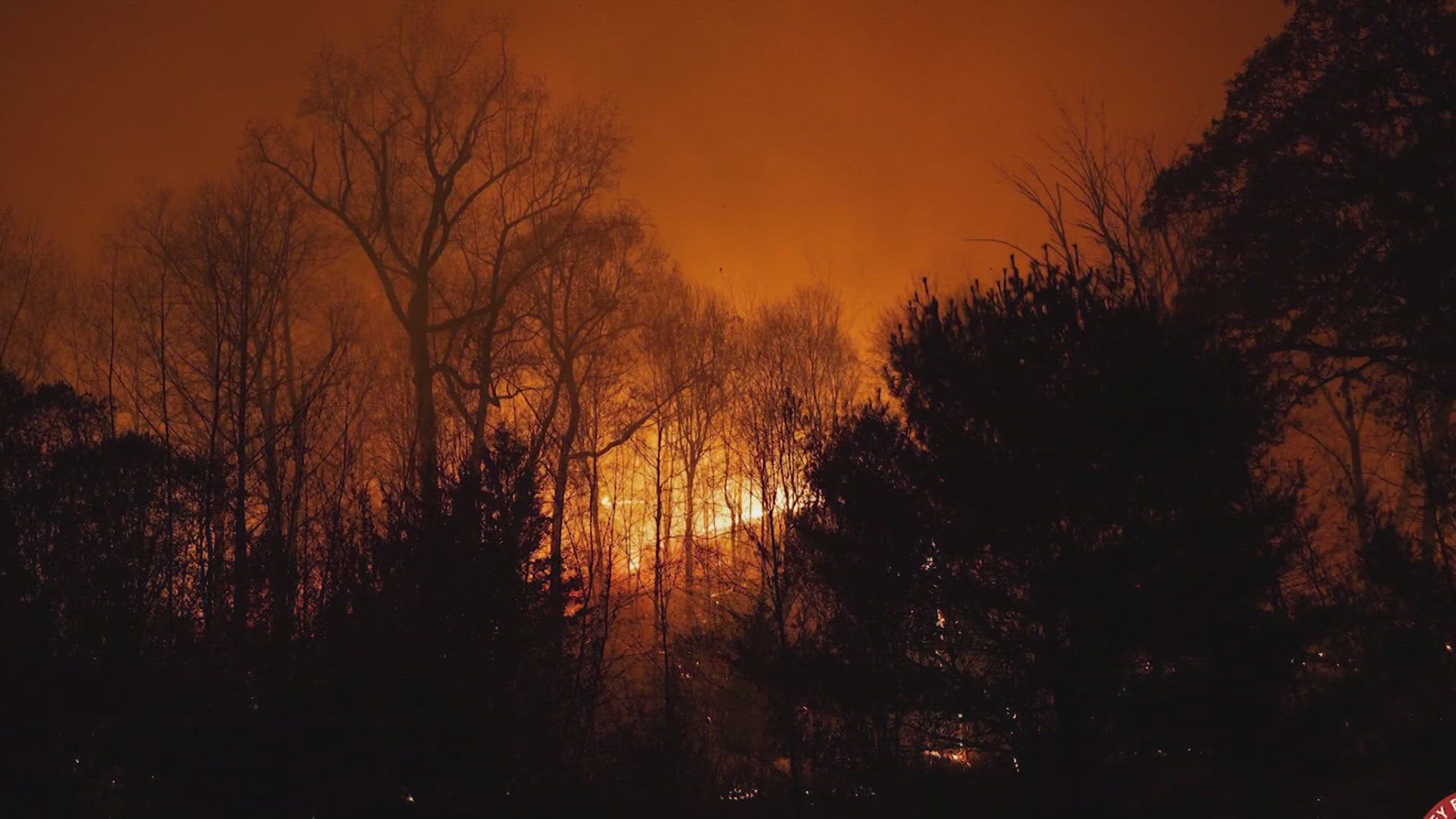 An 18-year-old helping construct fire lines in New York was killed when a tree fell on him Saturday.