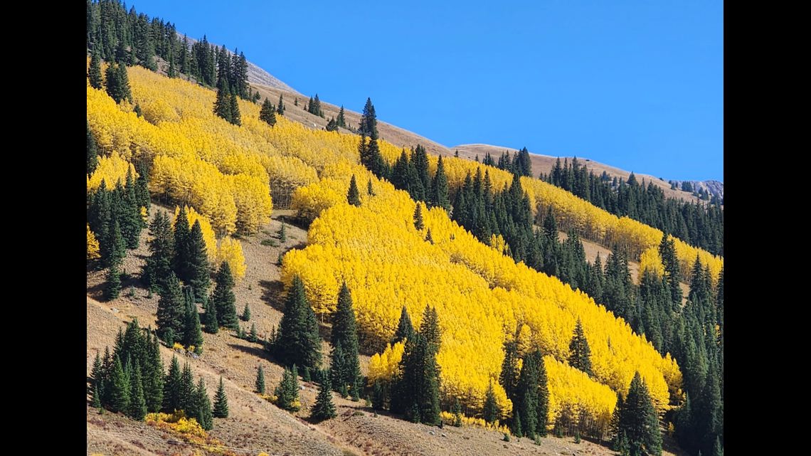 Colorado fall colors photo gallery 2023, Share your pictures