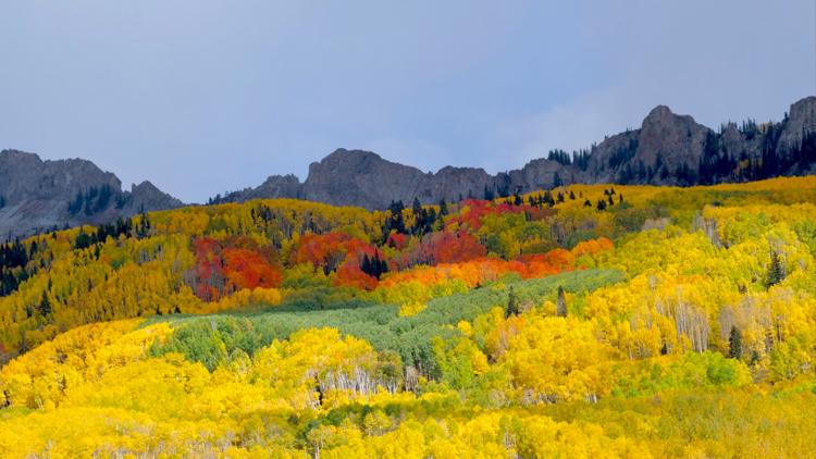 Colorado fall colors 2022