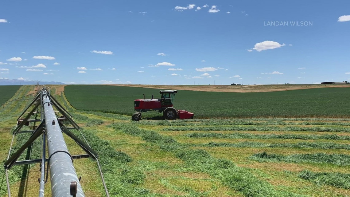 Colorado farmers worry low snowpack could wind up costing them their crops