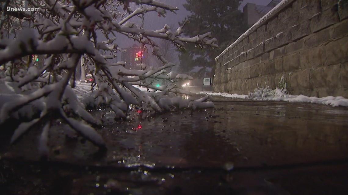 How to safely remove snow from trees - Vimarsana News
