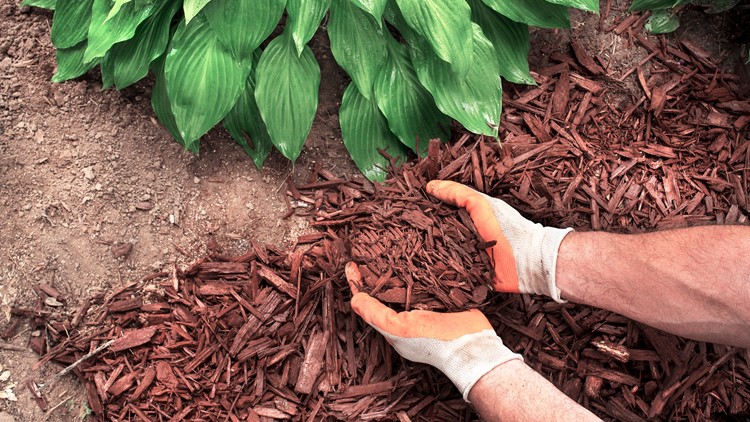 Here's where Denverites can get free mulch this weekend