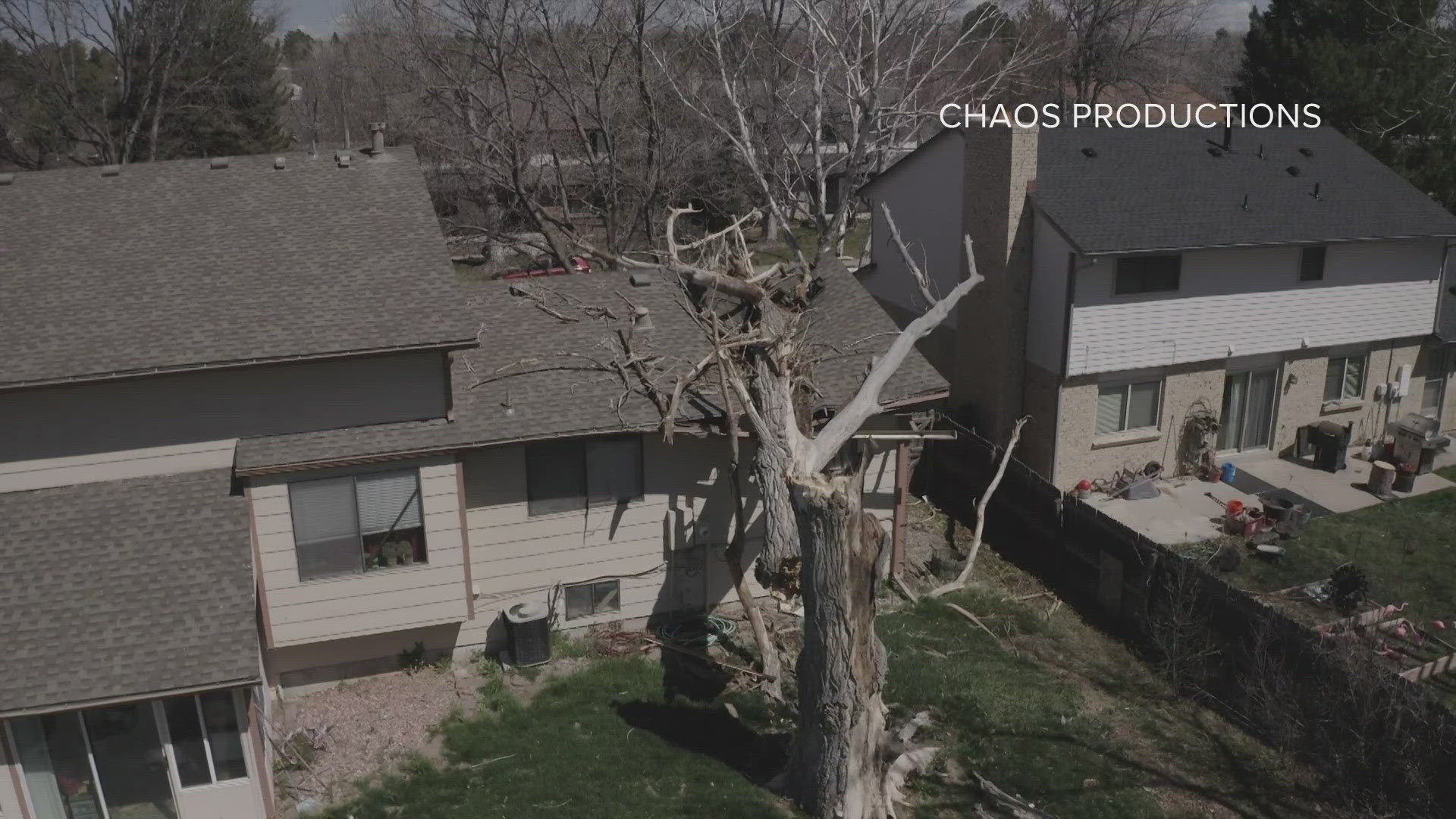 When a windstorm toppled a 54-foot tree on top of a veteran's home the estimates for a fix stunned Pat Smith – but volunteer contractors helped him rebuild.