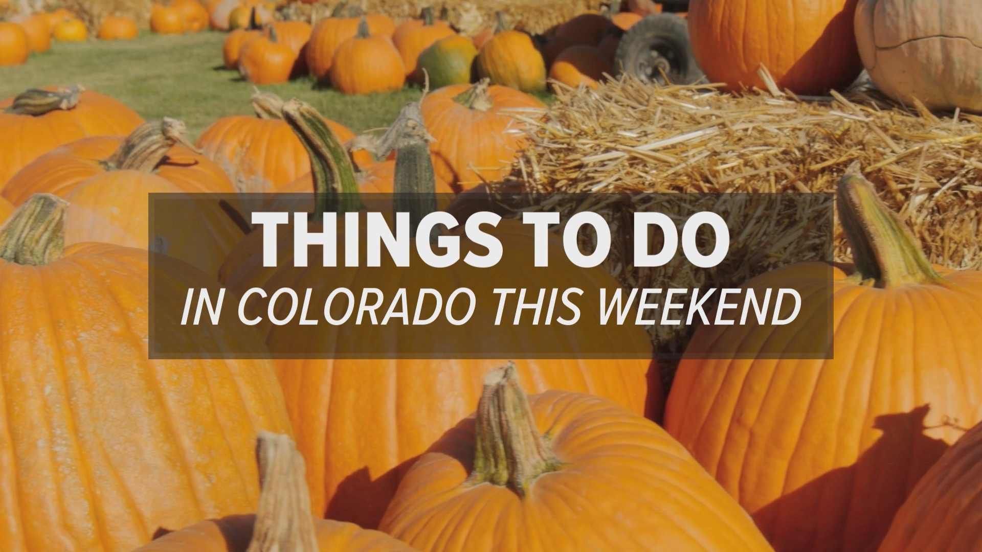 Fall pumpkin and harvest festivals, corn mazes and searching for the brightest fall leaves offer Colorado-style fun, plus football, GABF and haunted houses.