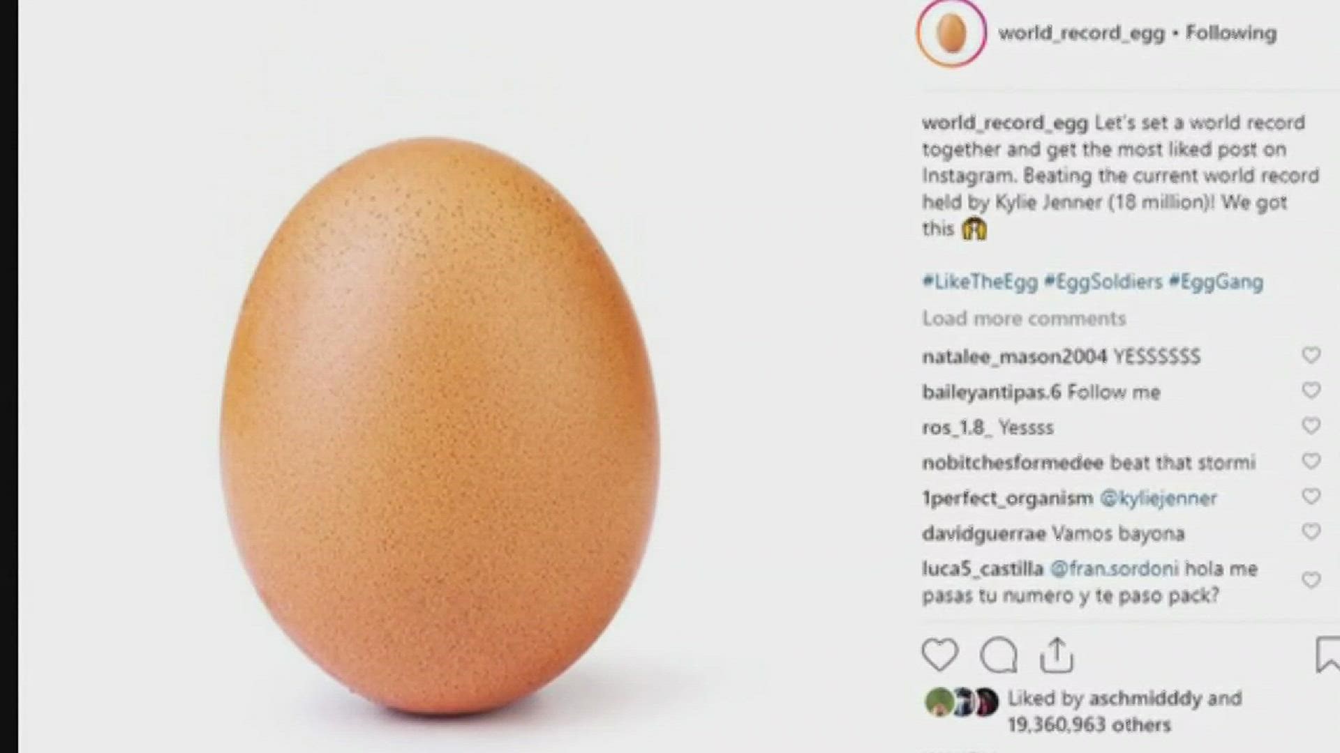 The "World Record Egg" wasn't just meant to "break the internet" but is also intended as a mental health resource. We hear how from a spokesperson for Mental Health Colorado.