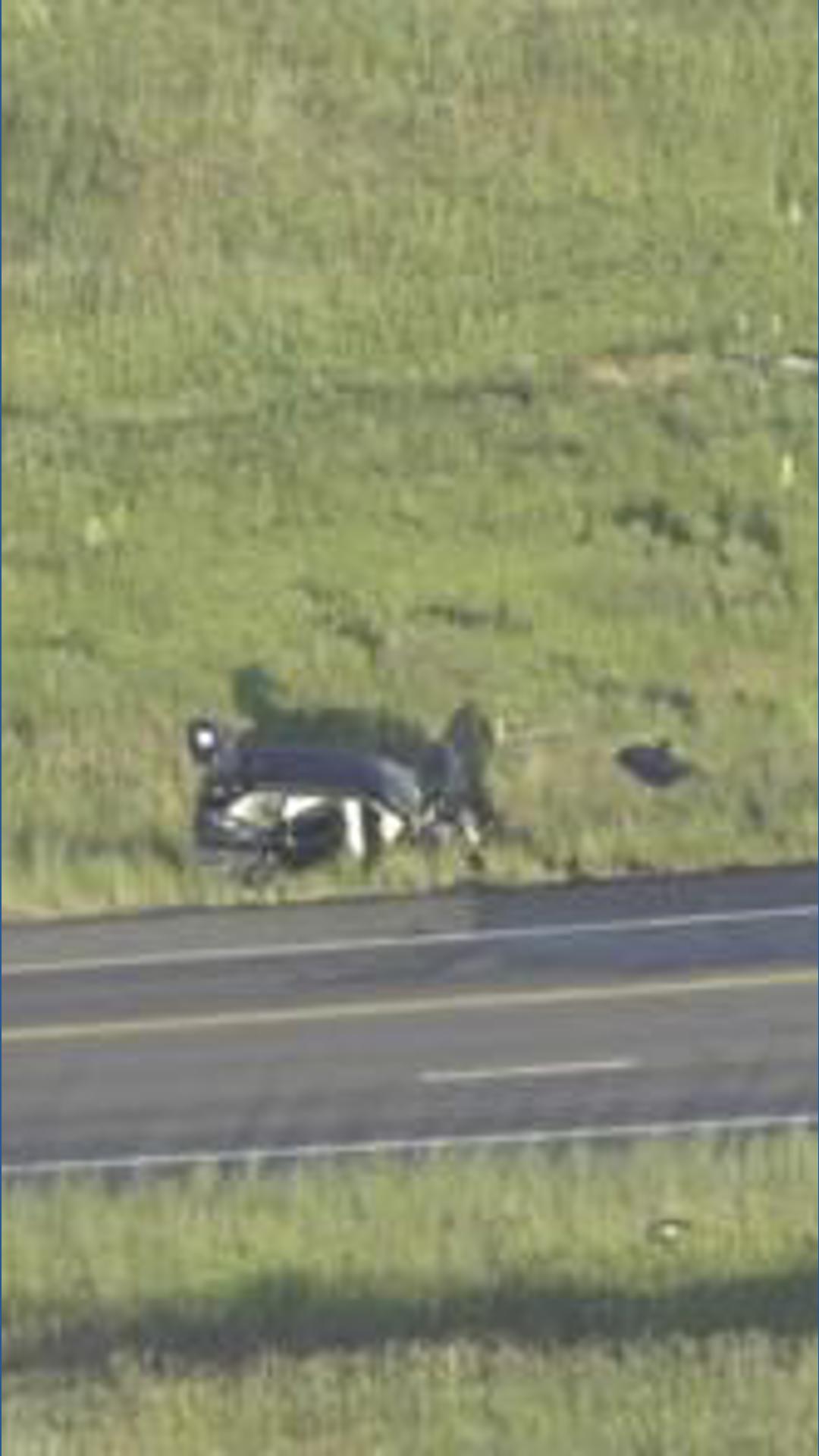 Friday morning crash injures 6 in Jefferson County | 9news.com