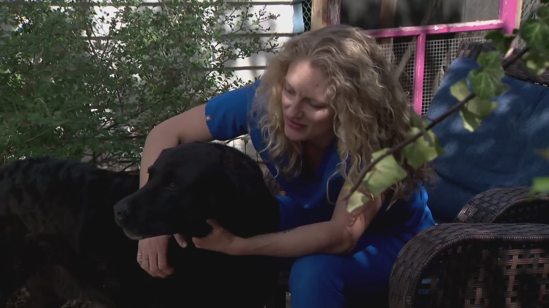 City Park Jazz looking for options after band shell destroyed by fire ...