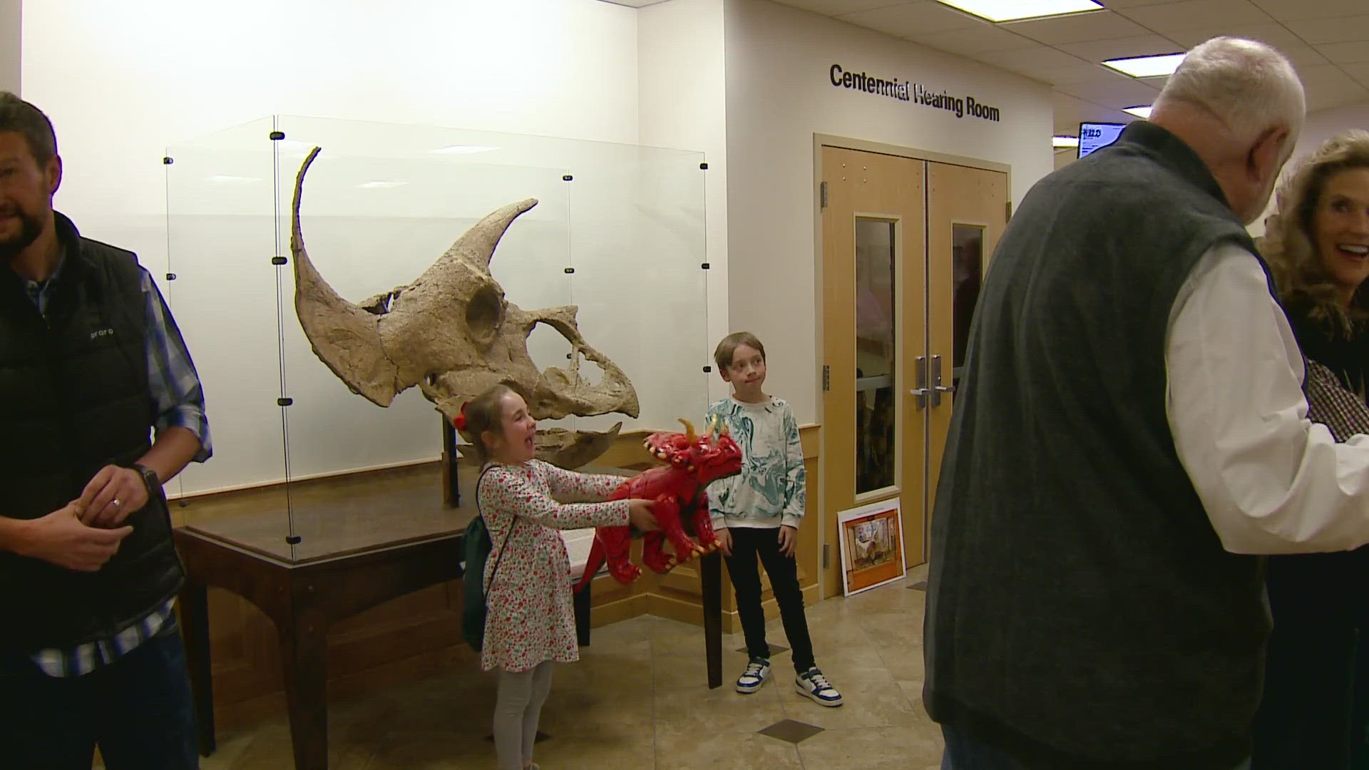The triceratops fossil was originally found on a ranch north of Briggsdale in 1982.
