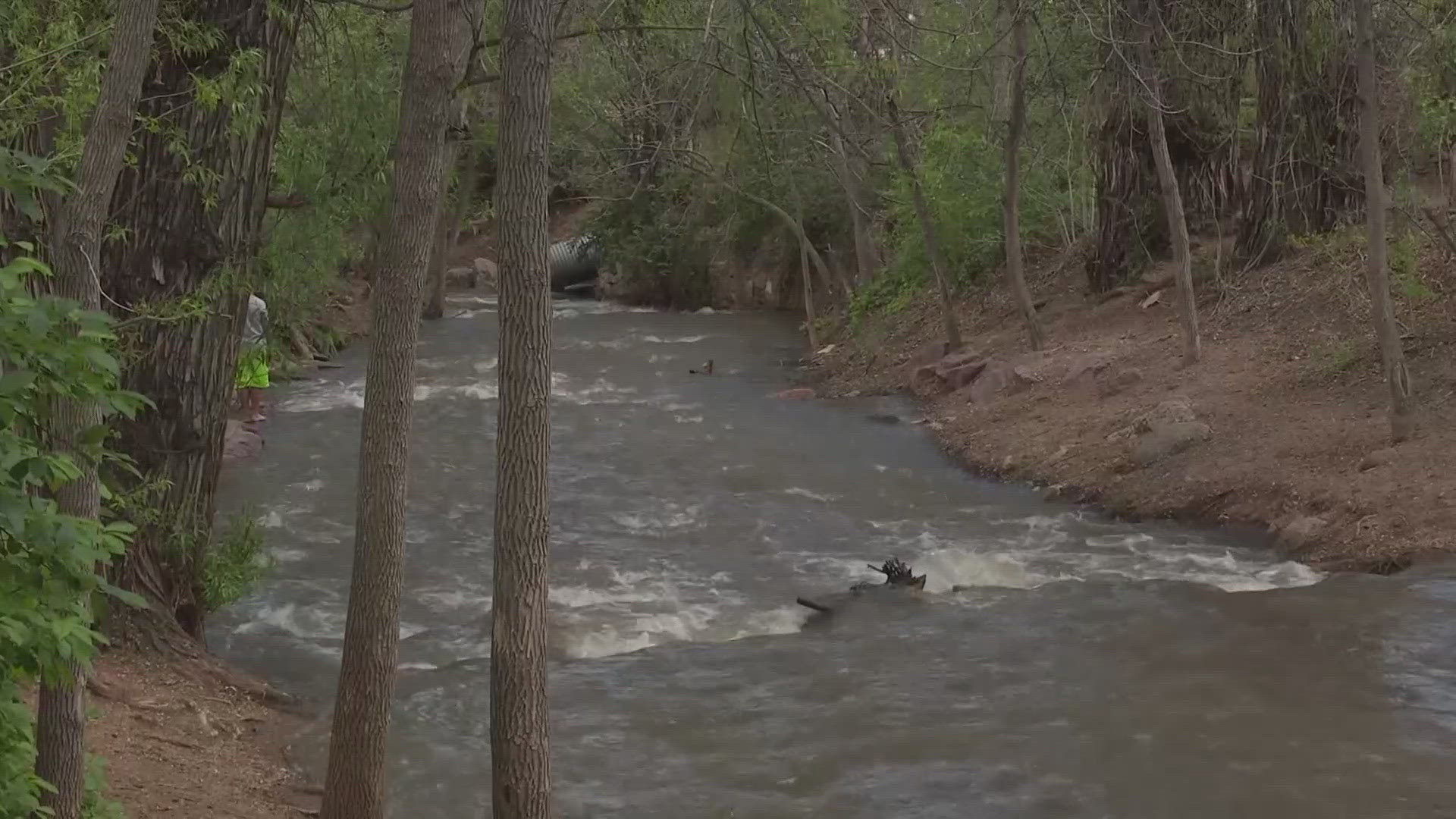 An increase of runoff into the watershed with sediment and other materials clouding up the water entering the city's water treatment plan. 