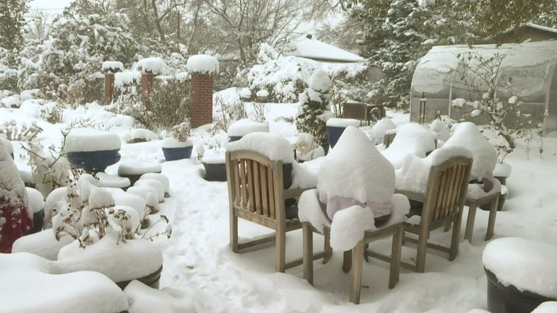 Proctor's Garden How cold weather affects plants