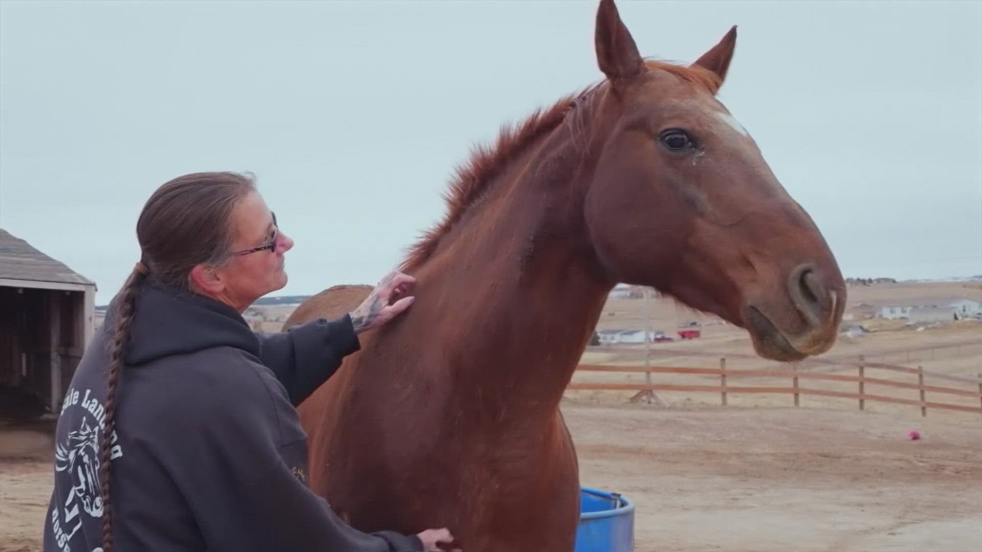 Confirmed Horse Virus Case In Colorado 9news confirmed-horse-virus-case-in-colorado-9news
