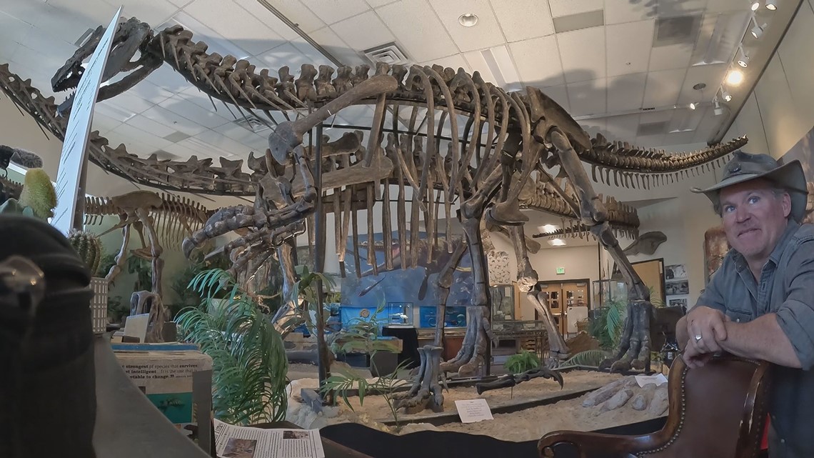 New dinosaur museum in Edwards features Colorado fossils