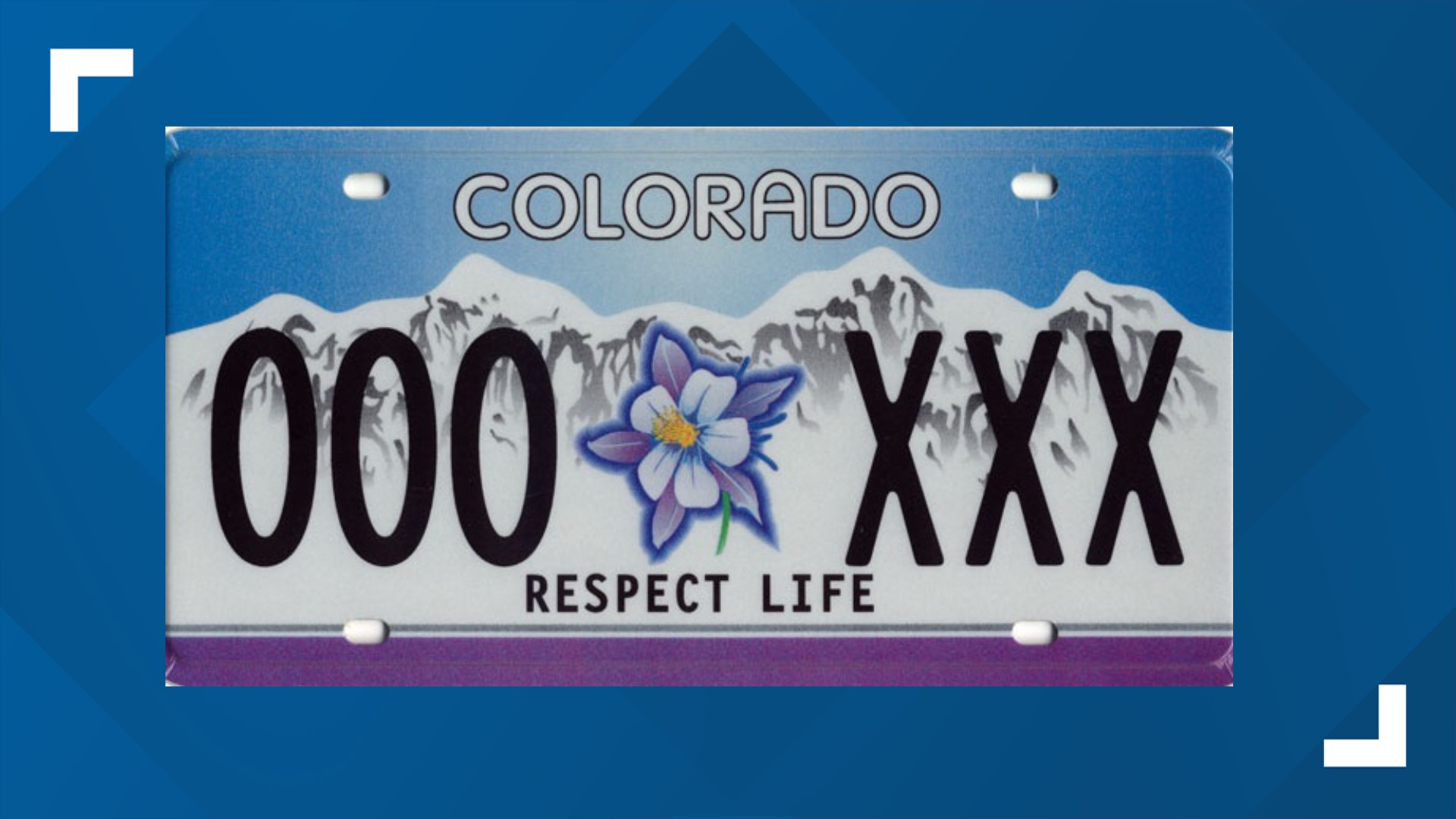 Most popular Colorado license plates revealed | 9news.com