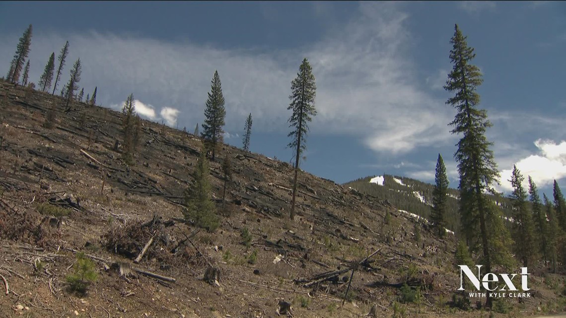 The rules for prescribed burns in Colorado | 9news.com