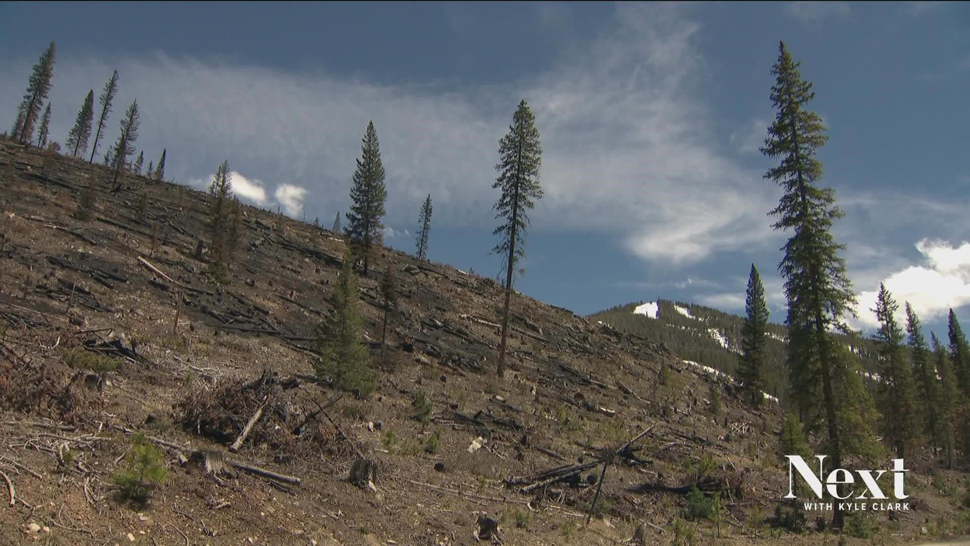 Wind caused fire at Keystone to reignite over the weekend after a prescribed burn last week. The US Forest Service has different requirements for test burns.