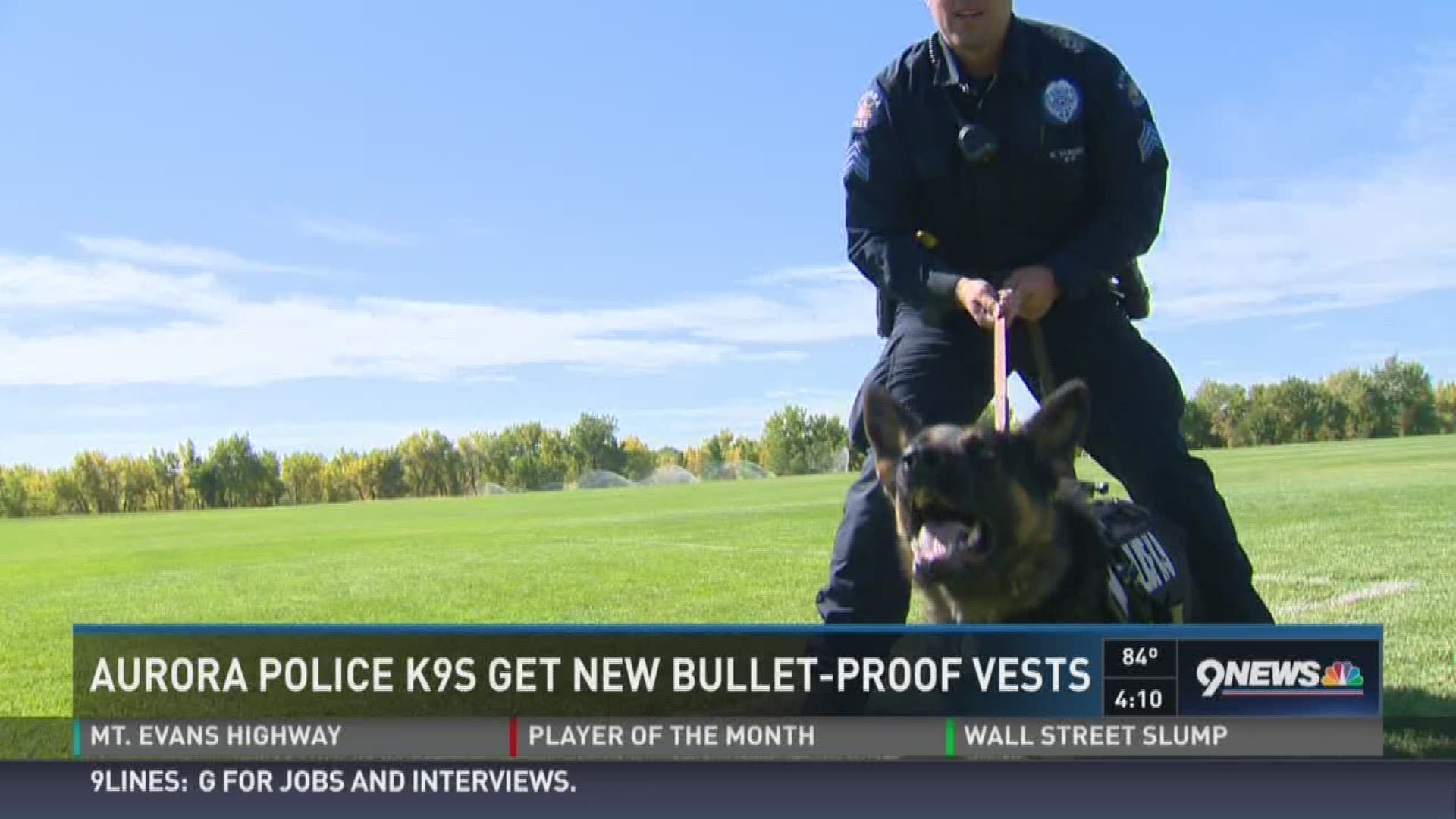 Aurora Police K9s get new bulletproof vests