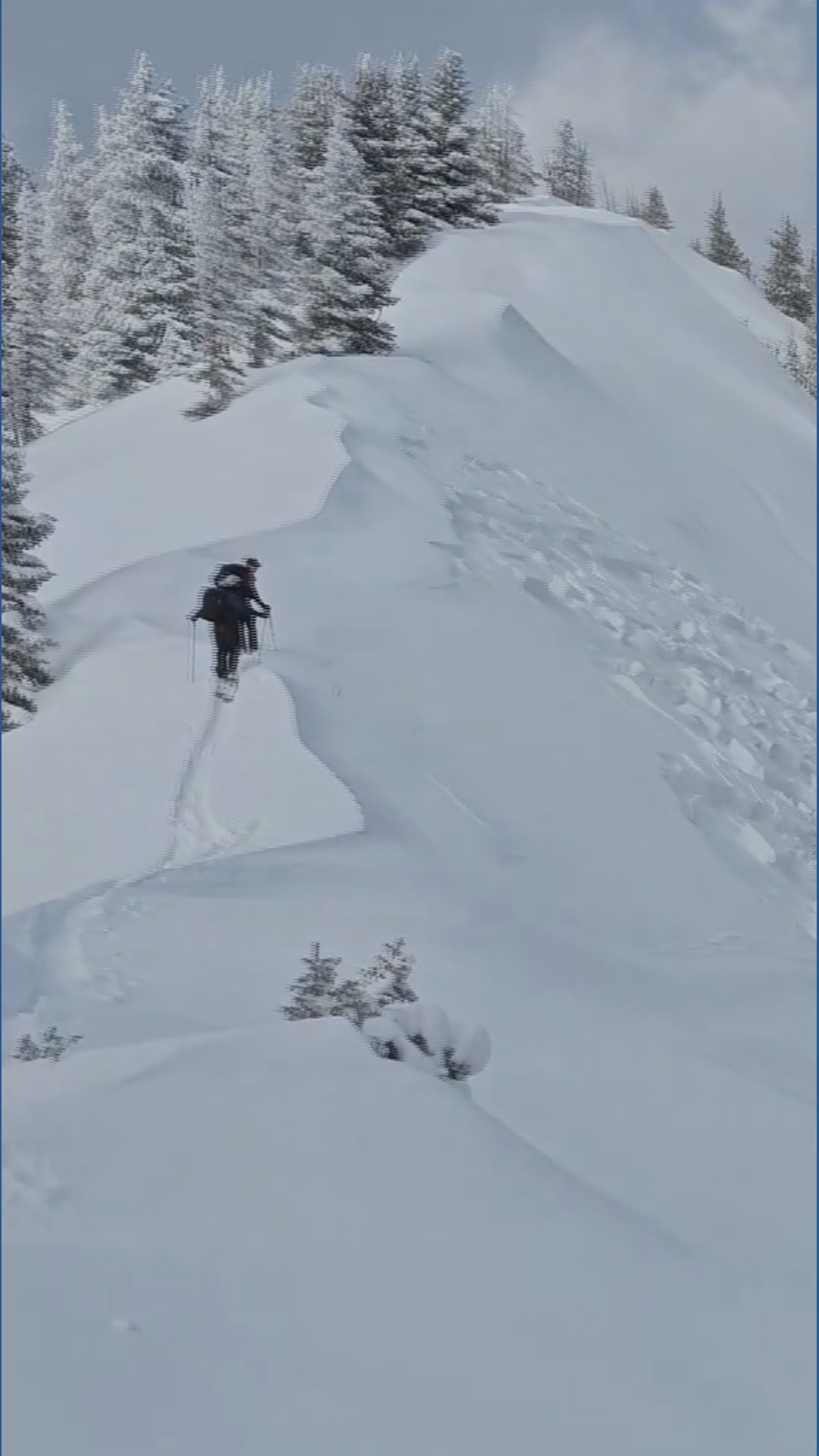 Old Farmers' Almanac releases winter forecast for 2025-2026 season ...