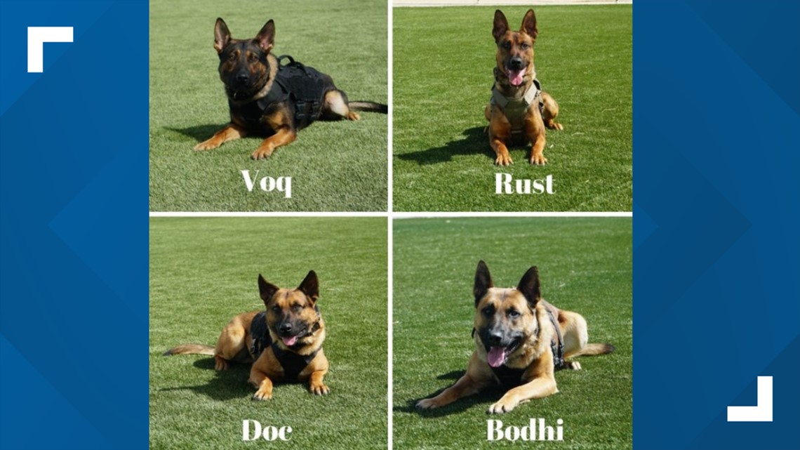 Arapahoe County Sheriff's Office introduce four new K9s