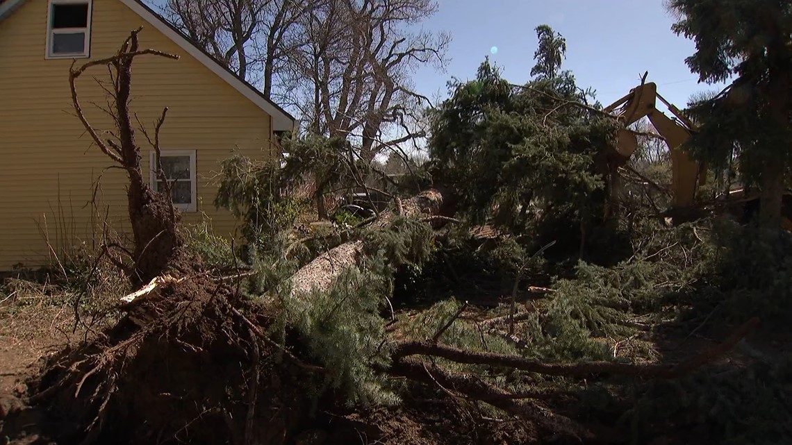Colorado cleaning up after powerful windstorm downs trees | 9news.com