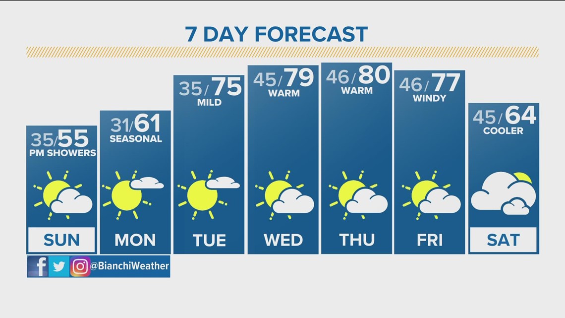 Rattlesnake vaccine for dogs What you need to know