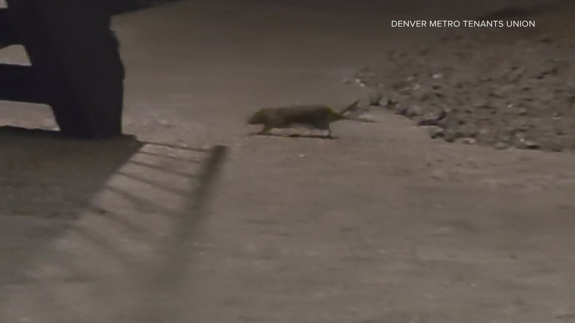 2 lawsuits accuse the operators of a southeast Denver apartment complex ...