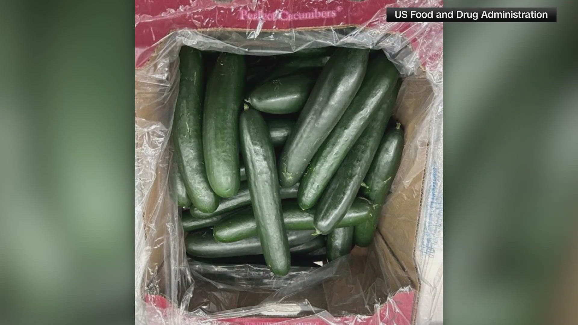 On Wednesday, we learned that at least eight people in Colorado have gotten sick. The recall affects fresh American cucumbers from three different companies.