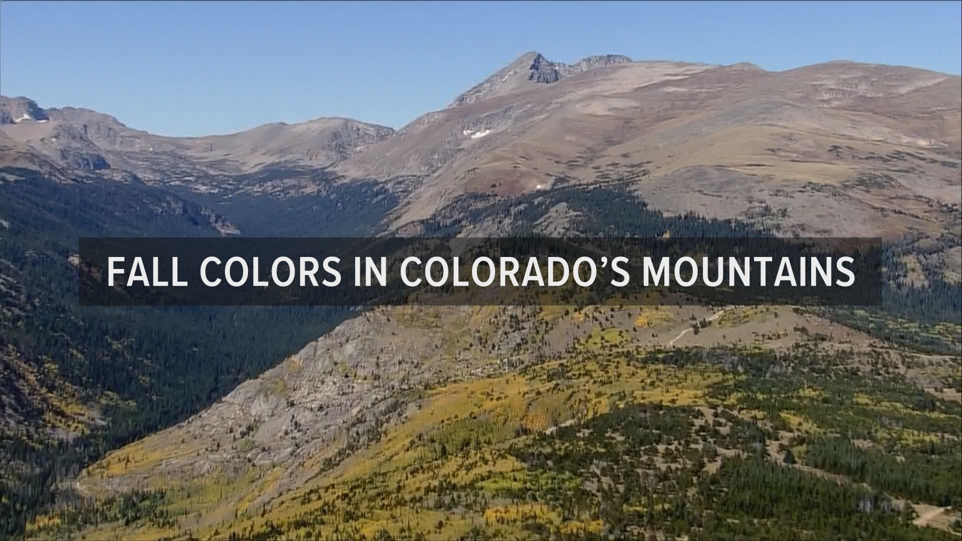 Take in this aerial view of changing fall leaves in Colorado’s High Country.