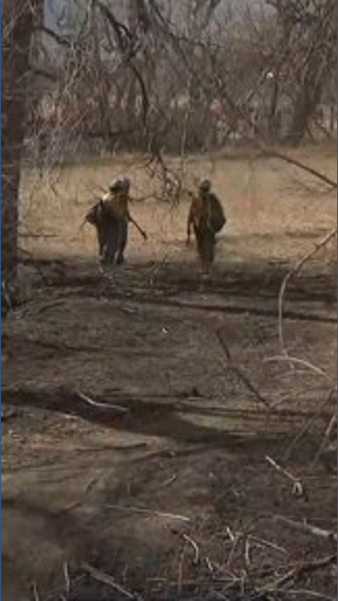 Collins Fire Fire in Fort Collins was caused by downed power lines | 9news.com
