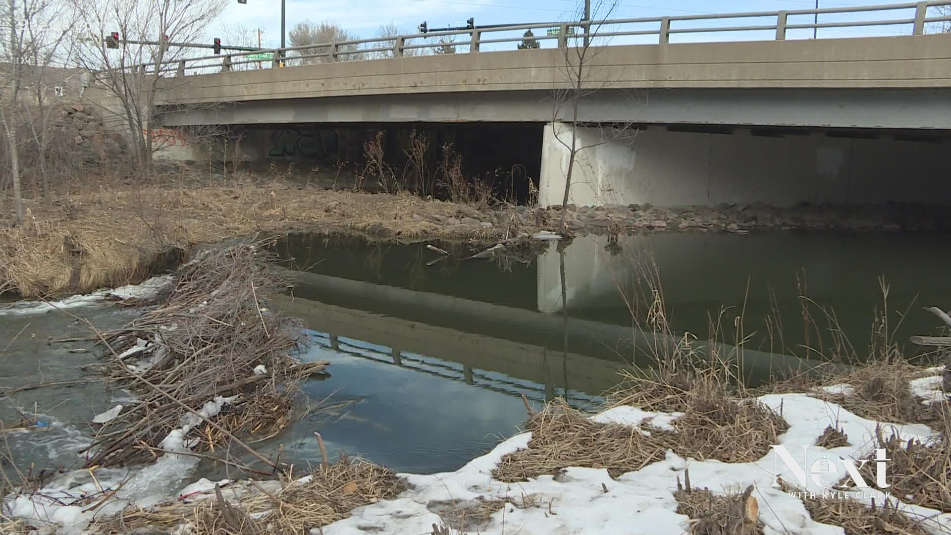 We first told you about beaver dams causing floods on Cherry Creek Trail in 2019. It's still happening. Denver does know. And for now, there's no permanent fix.