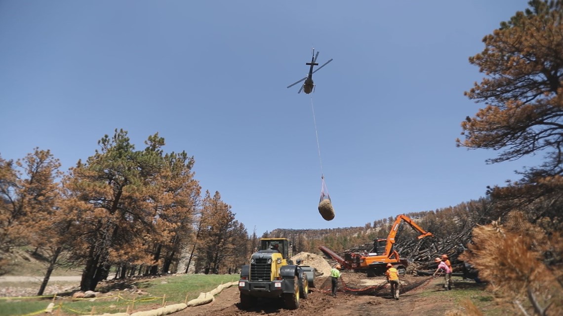 Images of wildfire recovery at a Colorado open space - Vimarsana News
