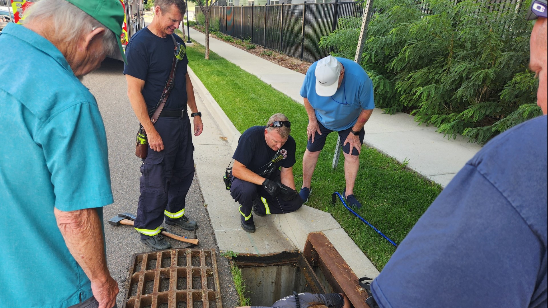Blind dog saved after falling down Lakewood storm drain | 9news.com