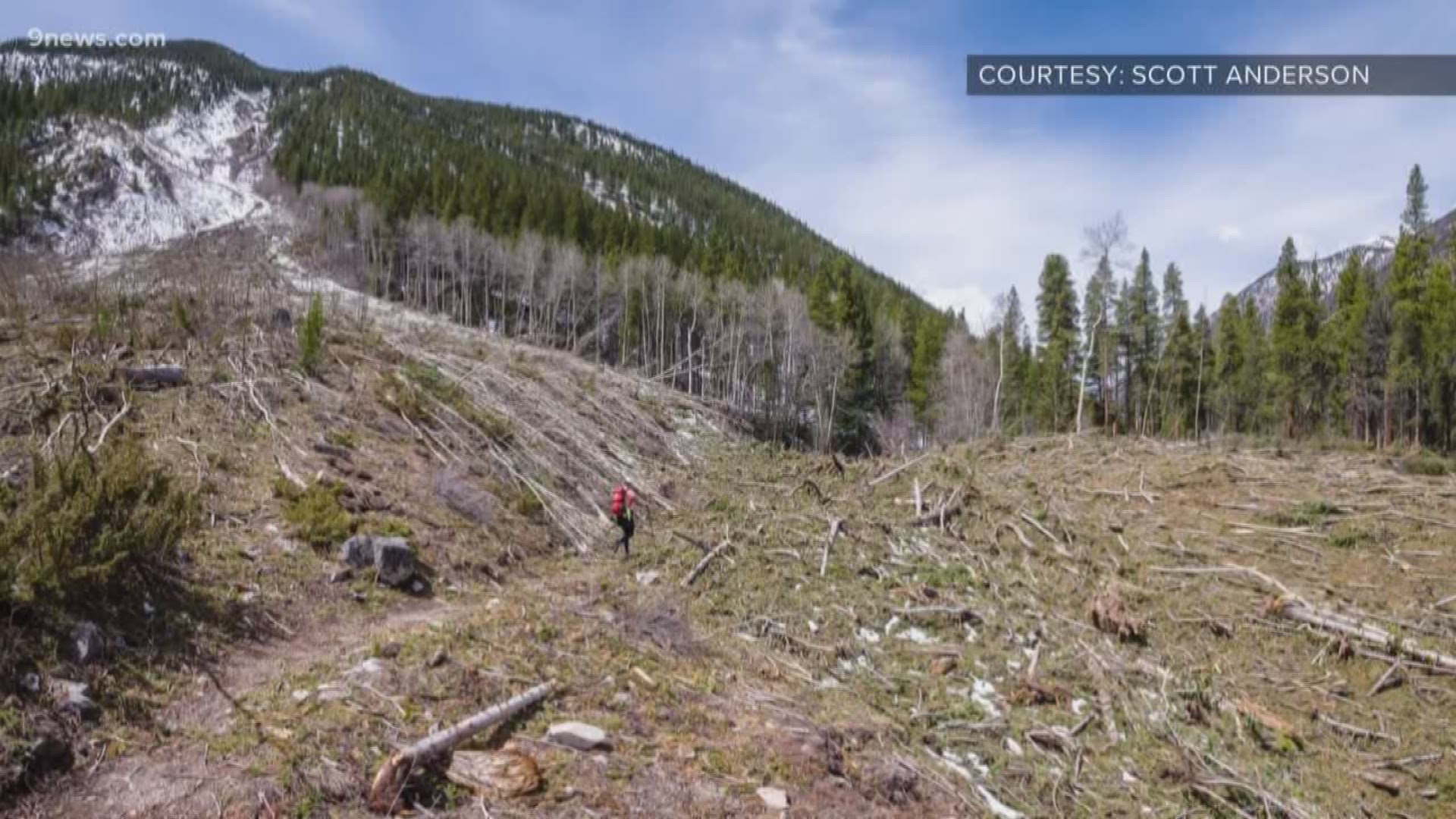 The Colorado Trail Foundation and its 83 trail adopters will coordinate volunteers, they’ll then work with the U.S. Forest Service to clear the debris.