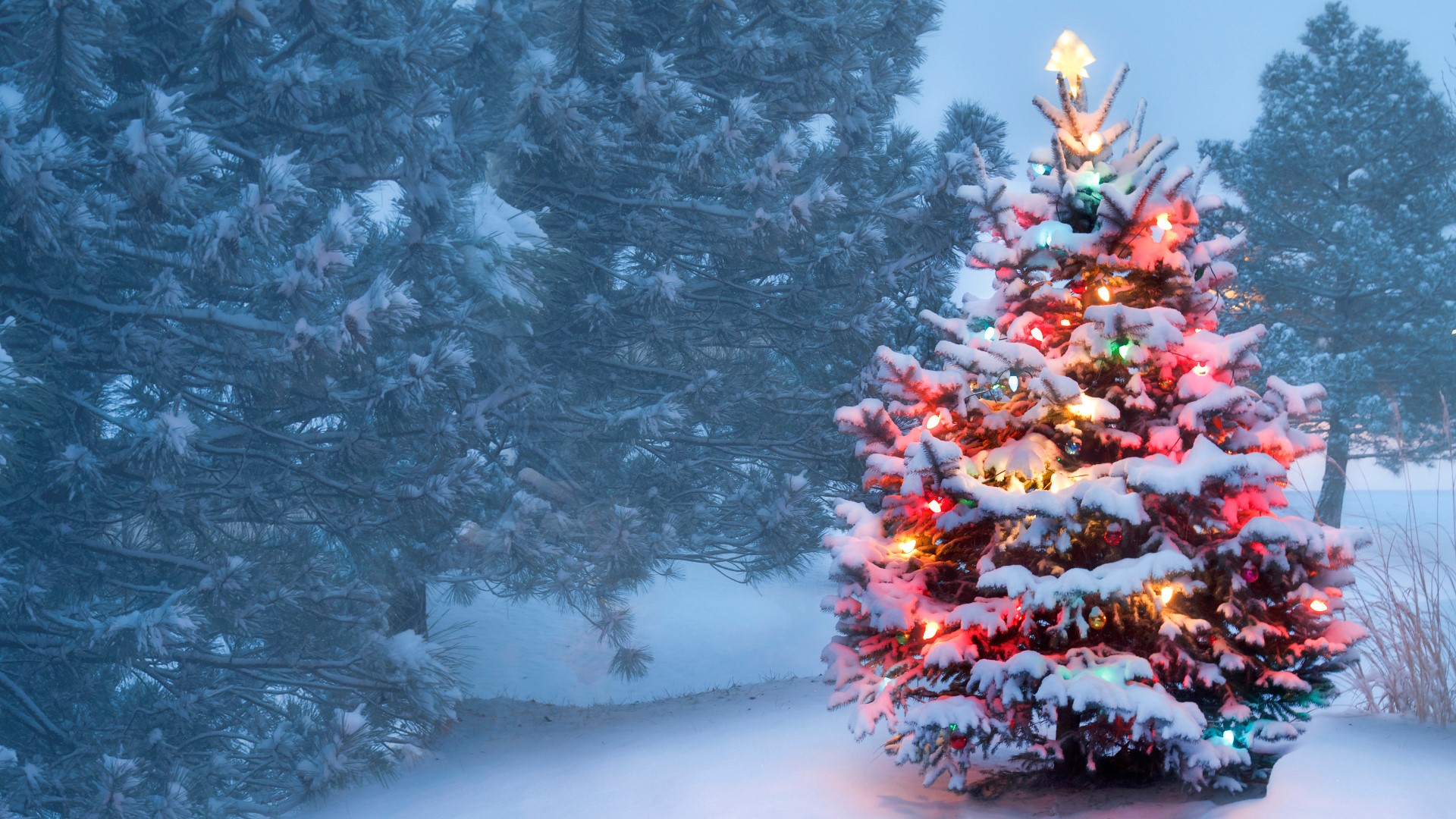 It's the most wonderful time of the year. Colorado celebrates the holiday season with parades, festivals, concerts, lightings and winter events.