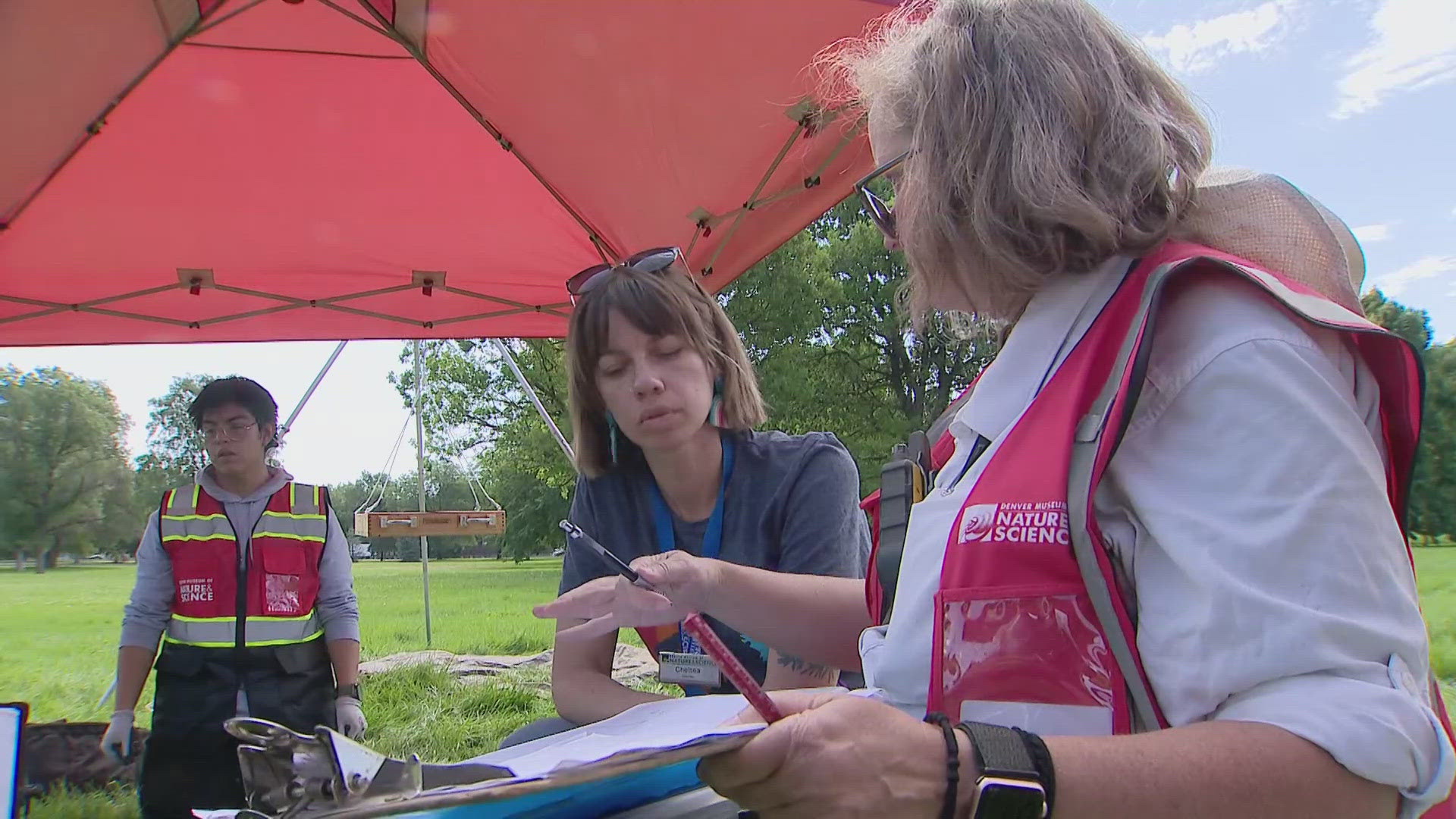 They're excavating and unearthing artifacts with the help of archaeologists from the Denver Museum of Nature and Science.