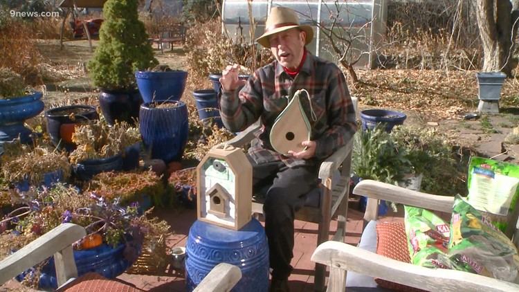 Proctors Garden: How to help backyard birds through the winter