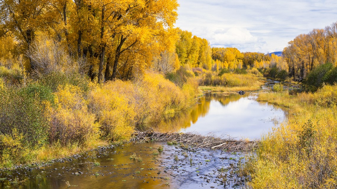 Photographer John Fielder donates life's work to History Colorado