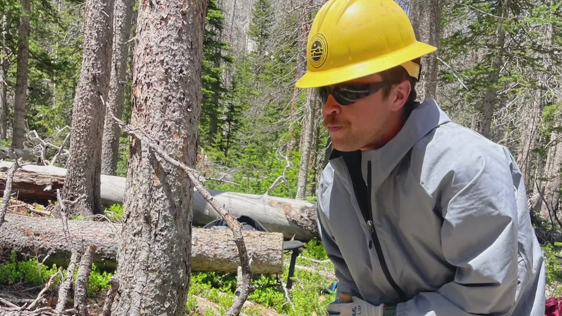 This week, we're supporting the Southwest Conservation Corps, which funds civilian-led conservation projects on central and southern Colorado public lands.