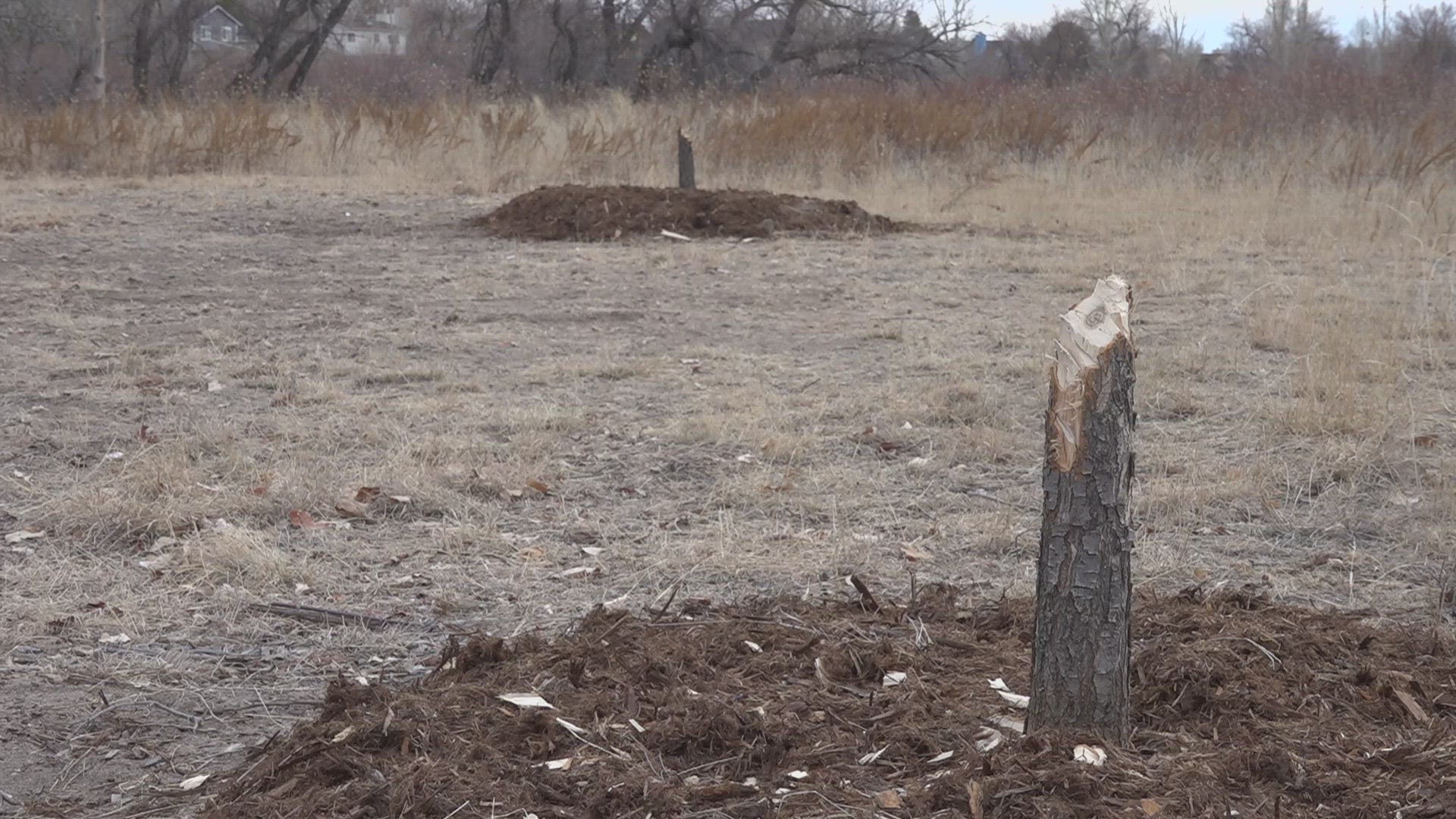 Parker Police said more than $16,000 in damages was caused by three vandalism incidents at the Angel Memorial Garden in McCabe Meadows.