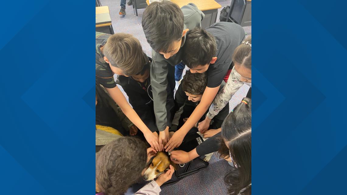 Meet the new Avon police K9 Help name the pup