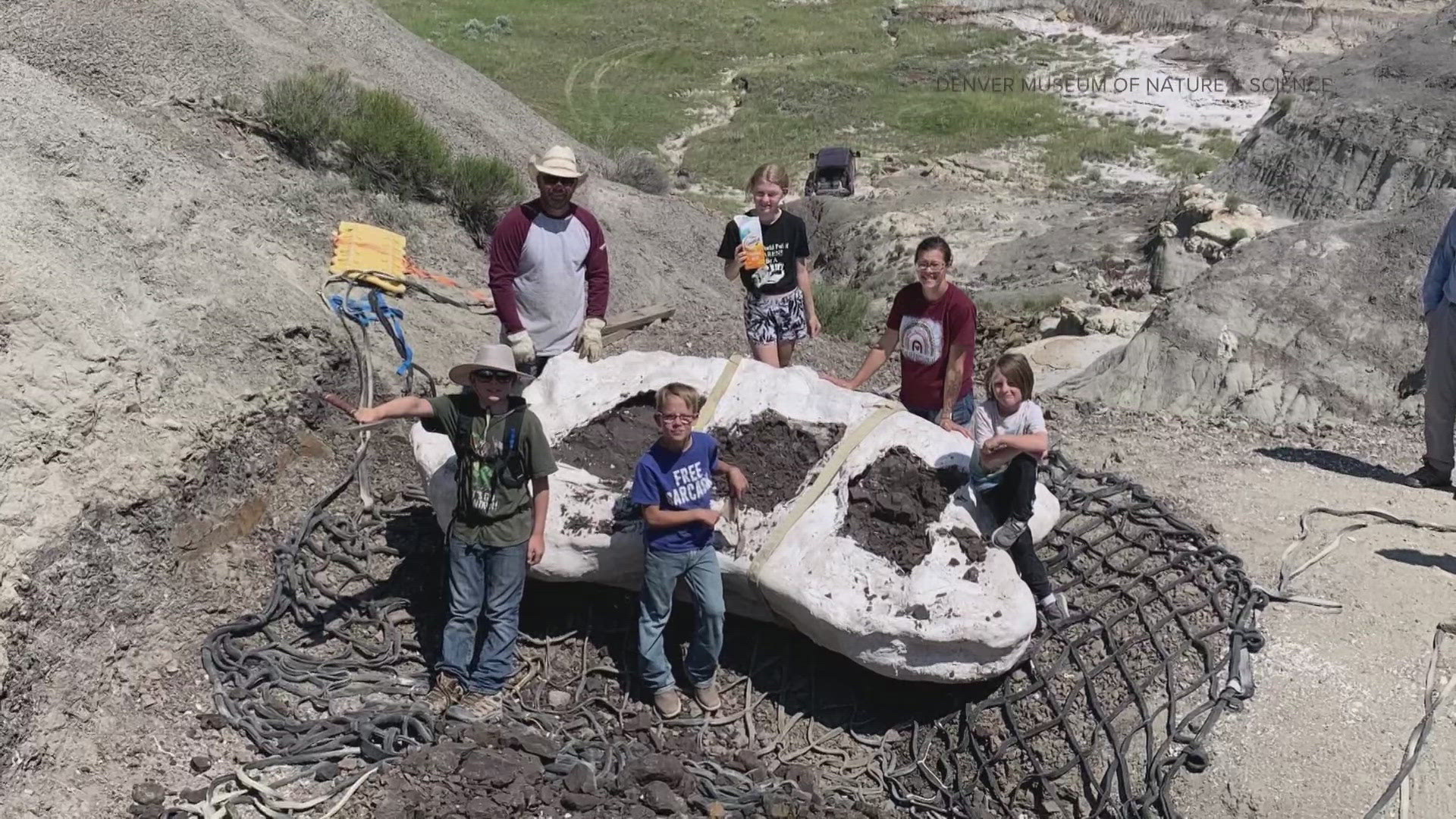 Only a handful of juvenile Tyrannosaurus rex skeletons have ever been found worldwide.