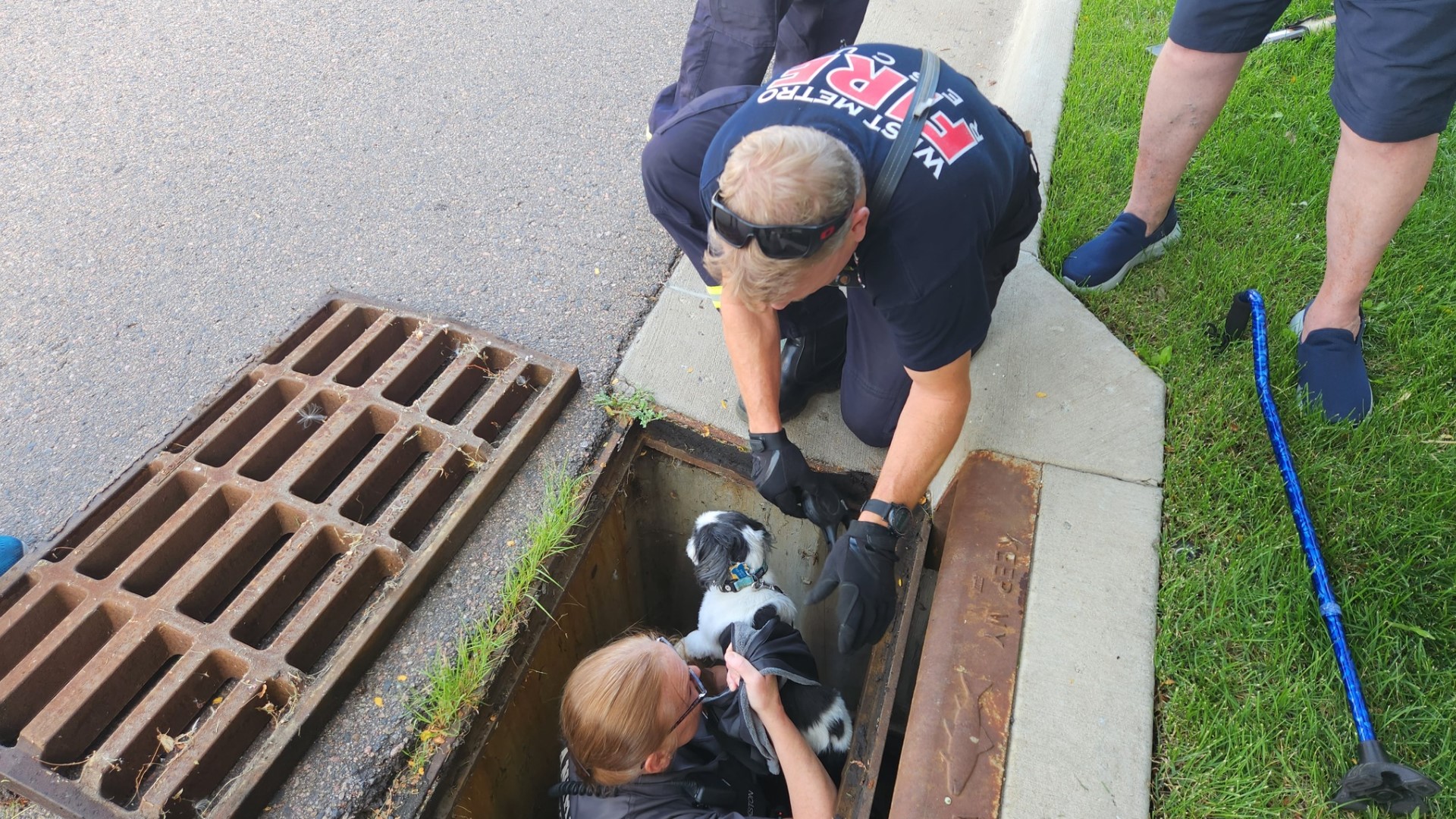 Blind dog saved after falling down Lakewood storm drain | 9news.com