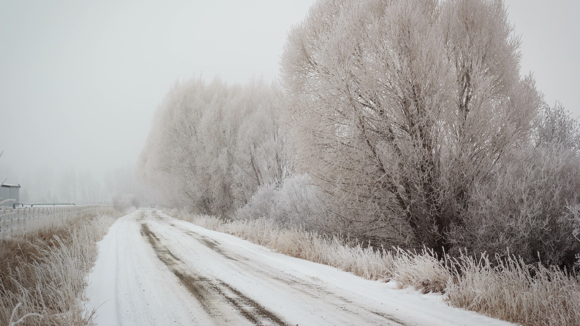 Farmers' Almanac'S Exciting News: Colorado'S Classic Winter Wonderland Is Coming! - ije7bz4