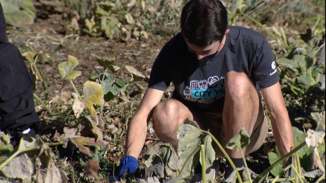 City Year Denver works with farming nonprofit Spirit of the Sun - Vimarsana News