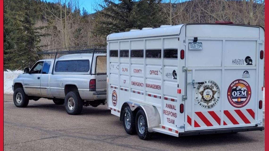 Kuda-kuda yang disita dari istal Grand County oleh kantor sheriff